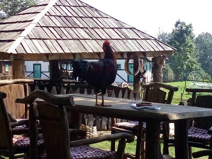 Farm Stay Cardaklije Kulen Vakuf Bagian luar foto